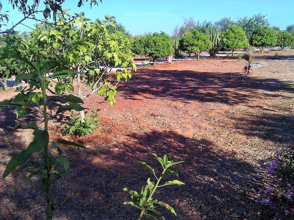 Quinta Casalinho Villa Albufeira Luaran gambar