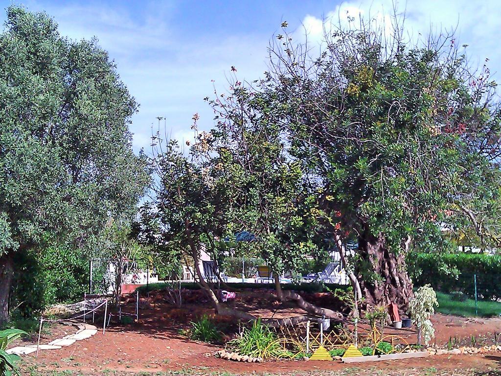 Quinta Casalinho Villa Albufeira Luaran gambar